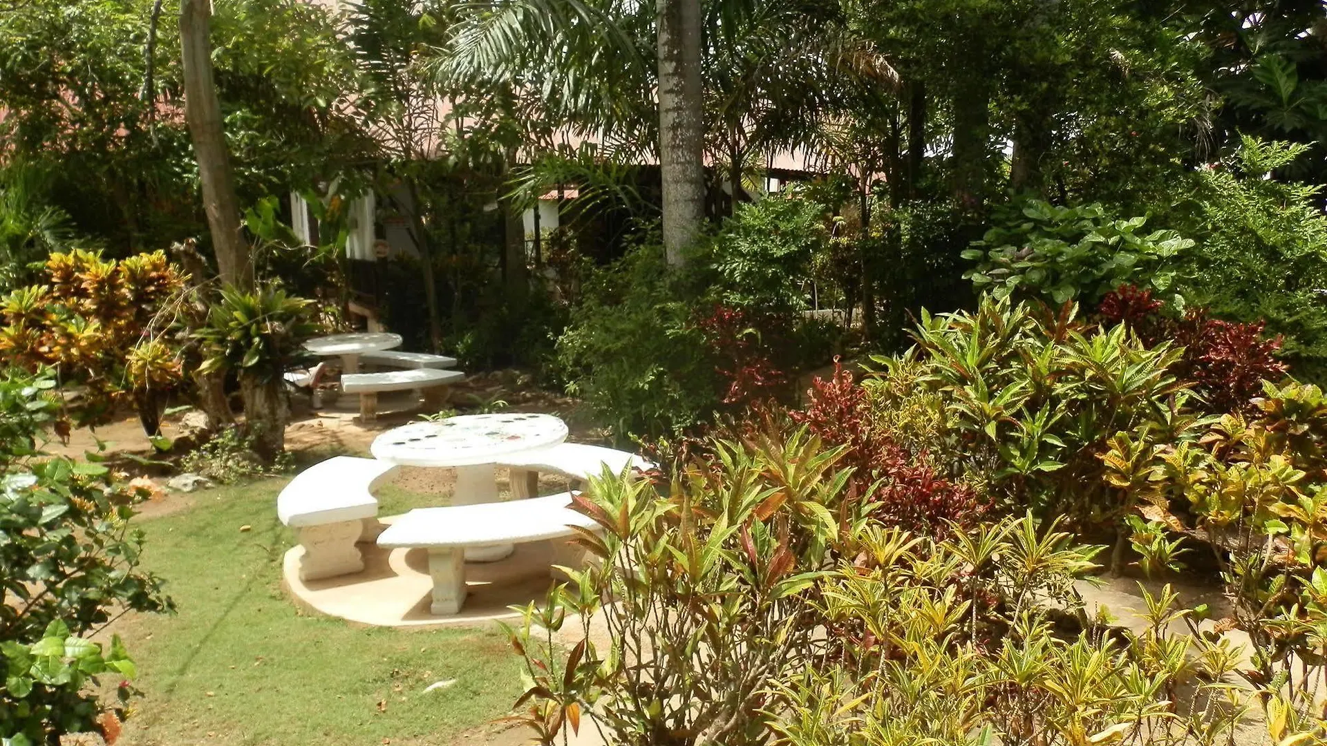 Negril Yoga Centre Villa