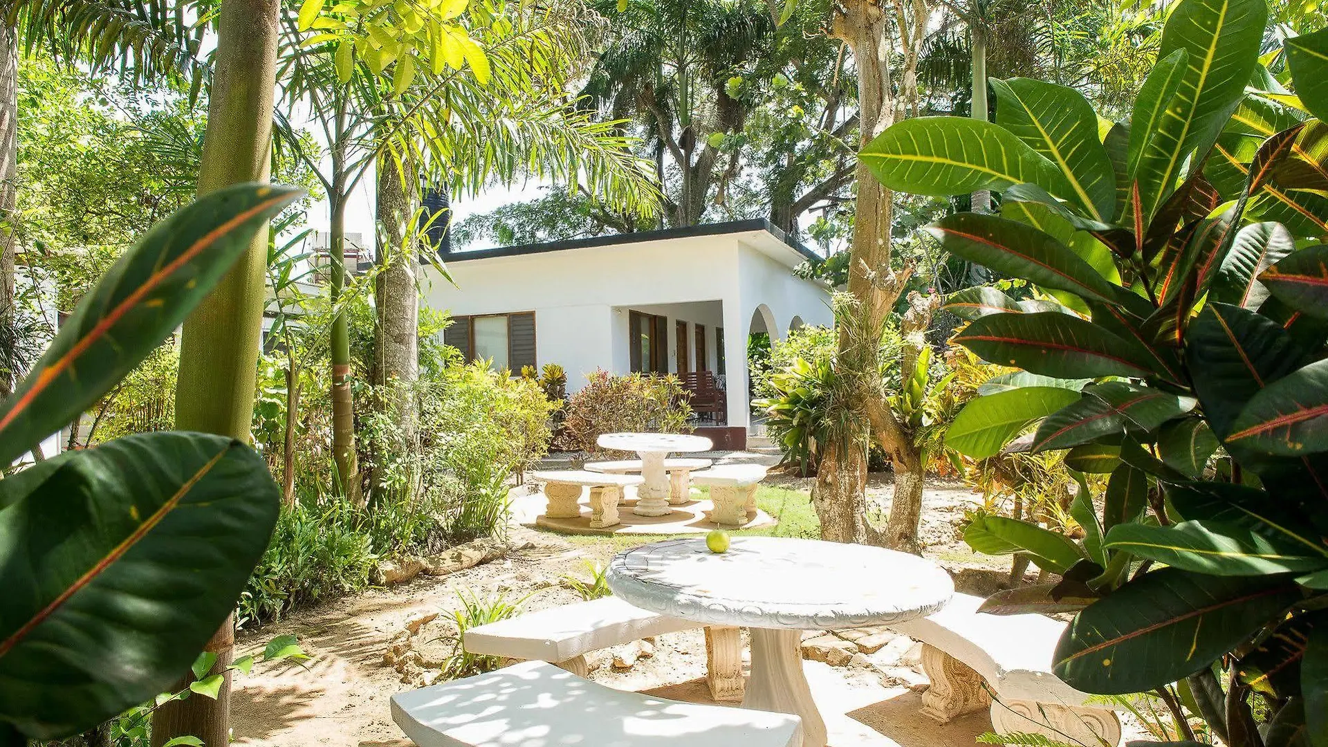 Negril Yoga Centre contacts